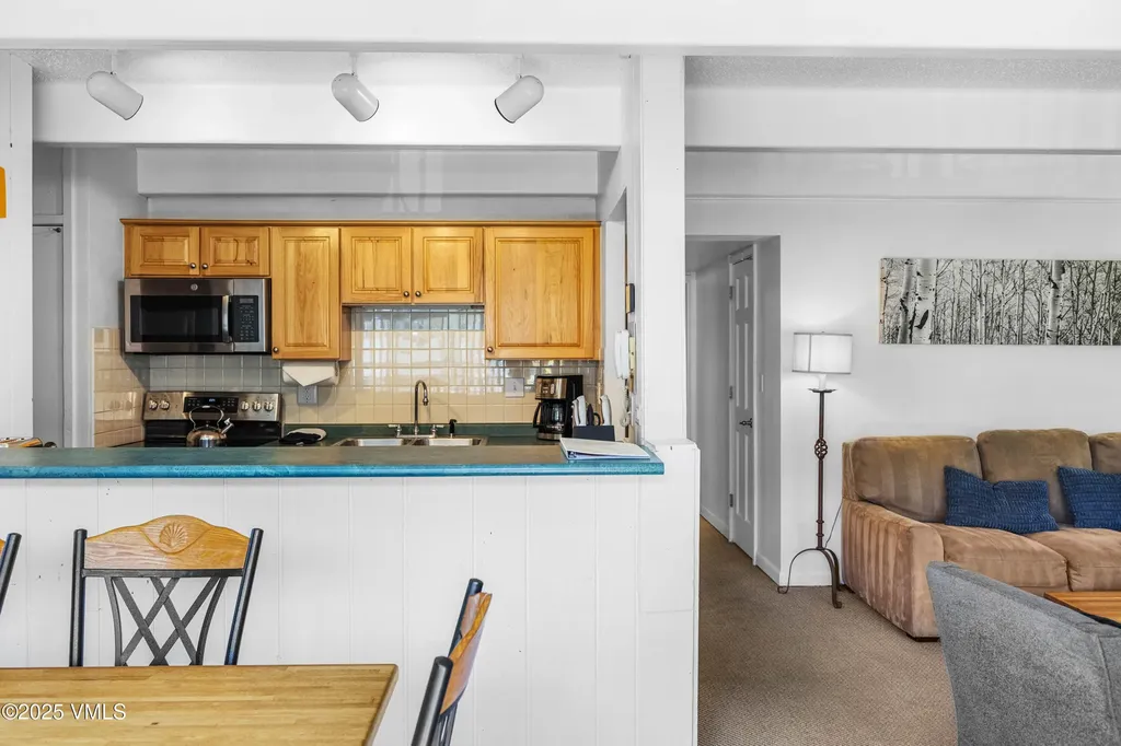 508 E Lionshead Circle Vail CO 81657