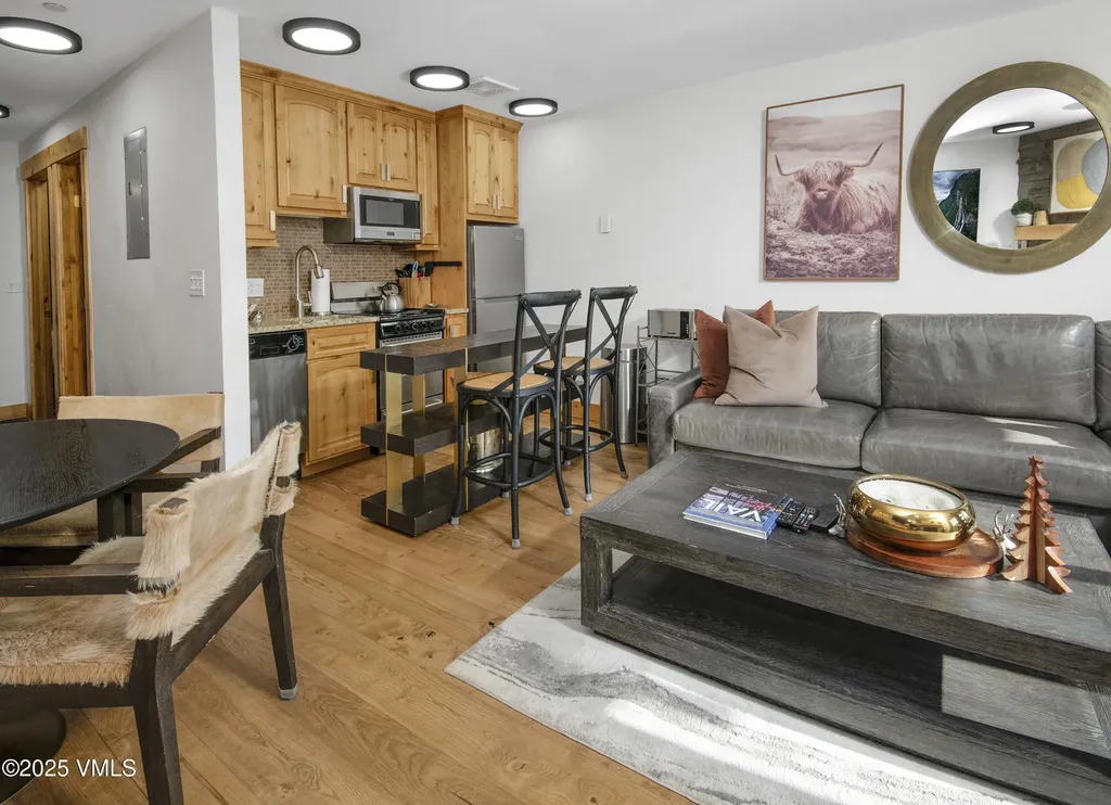 610 W Lionshead Vail CO 81657