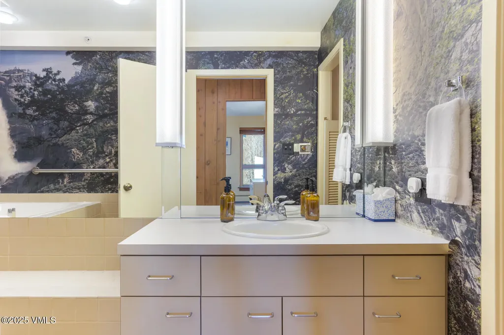 450 E Lionshead Circle Vail CO 81657