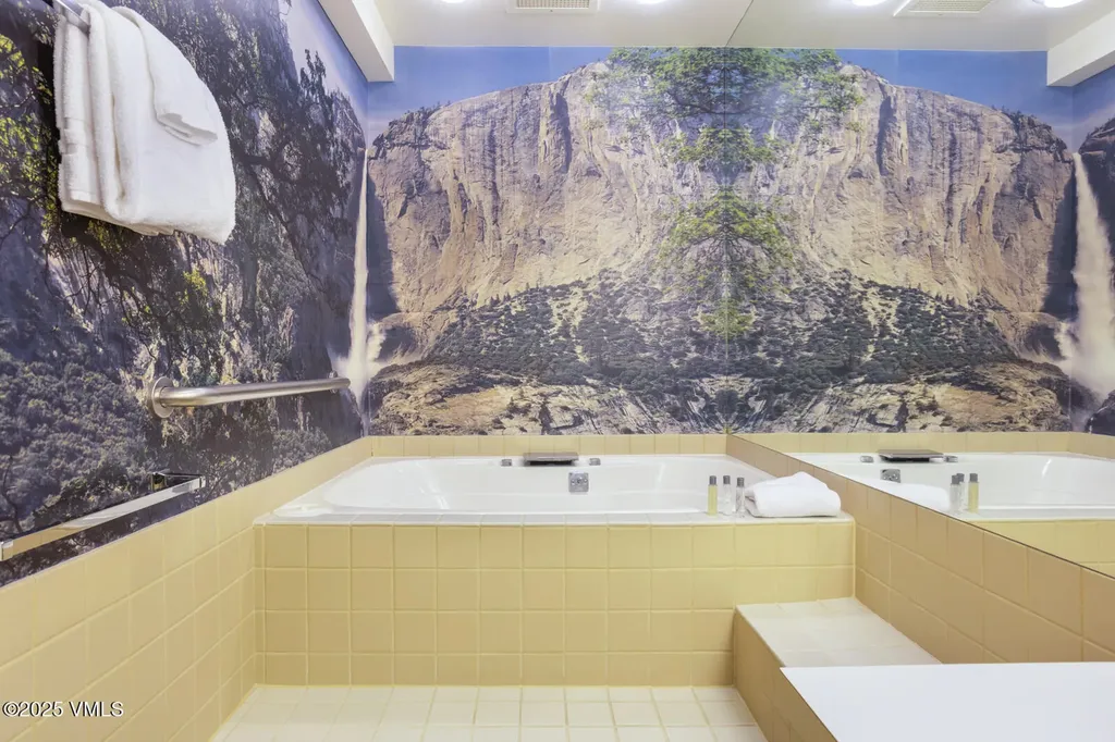 450 E Lionshead Circle Vail CO 81657