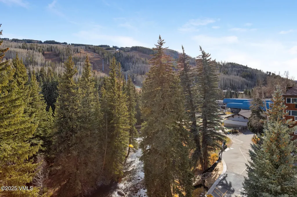 450 E Lionshead Circle Vail CO 81657