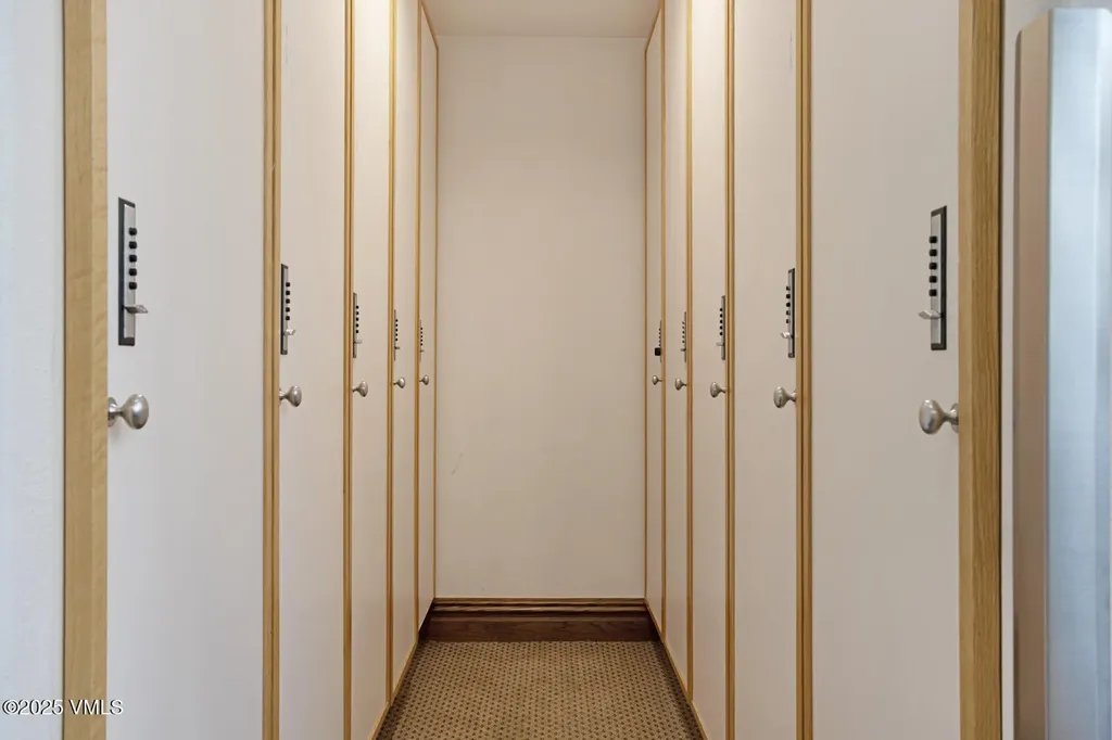 450 E Lionshead Circle Vail CO 81657