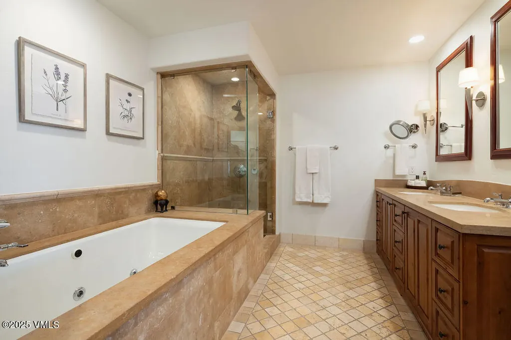 675 Lionshead Place Vail CO 81657