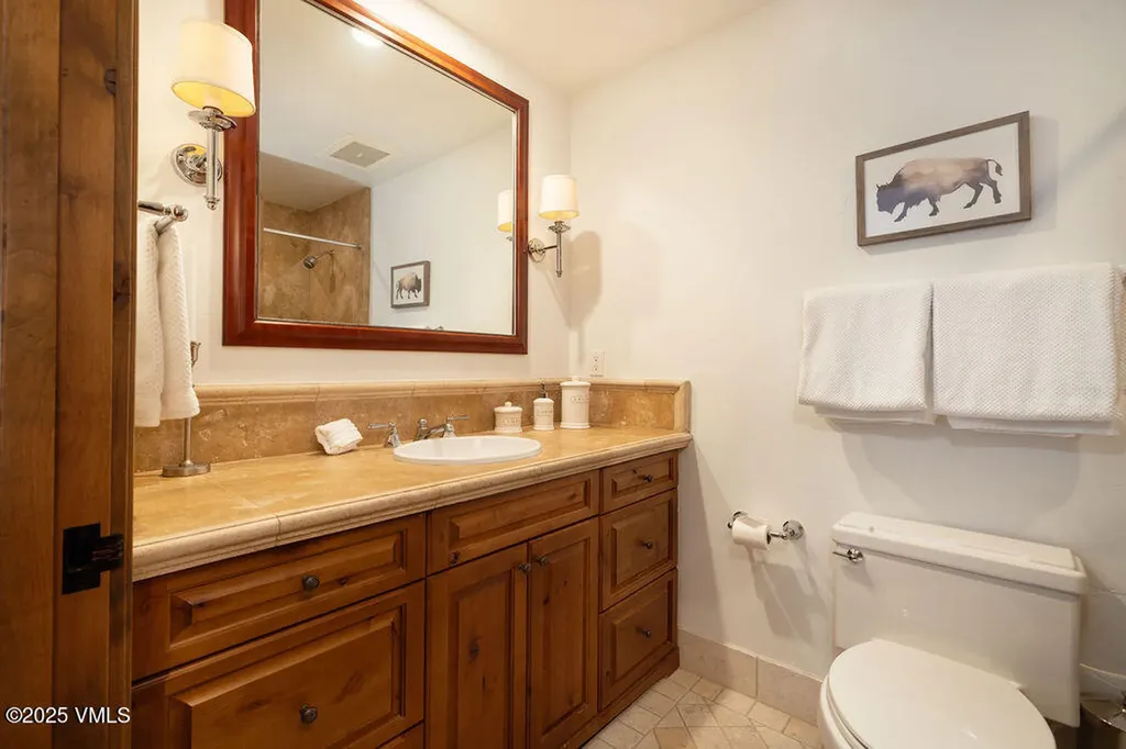 675 Lionshead Place Vail CO 81657