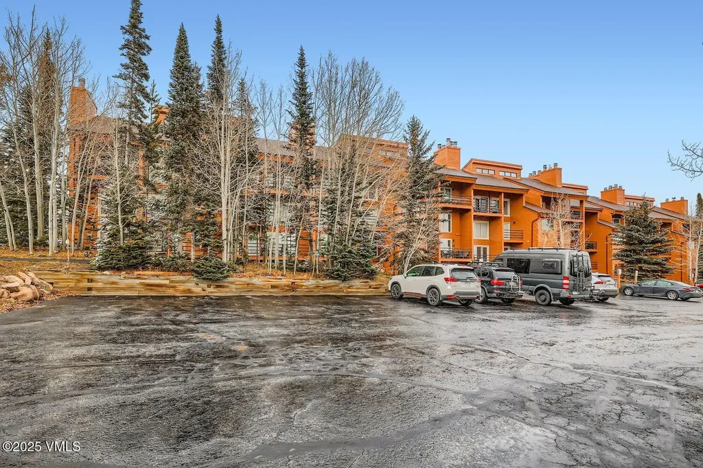 91300 Ryan Gulch Road Silverthorne CO 80498