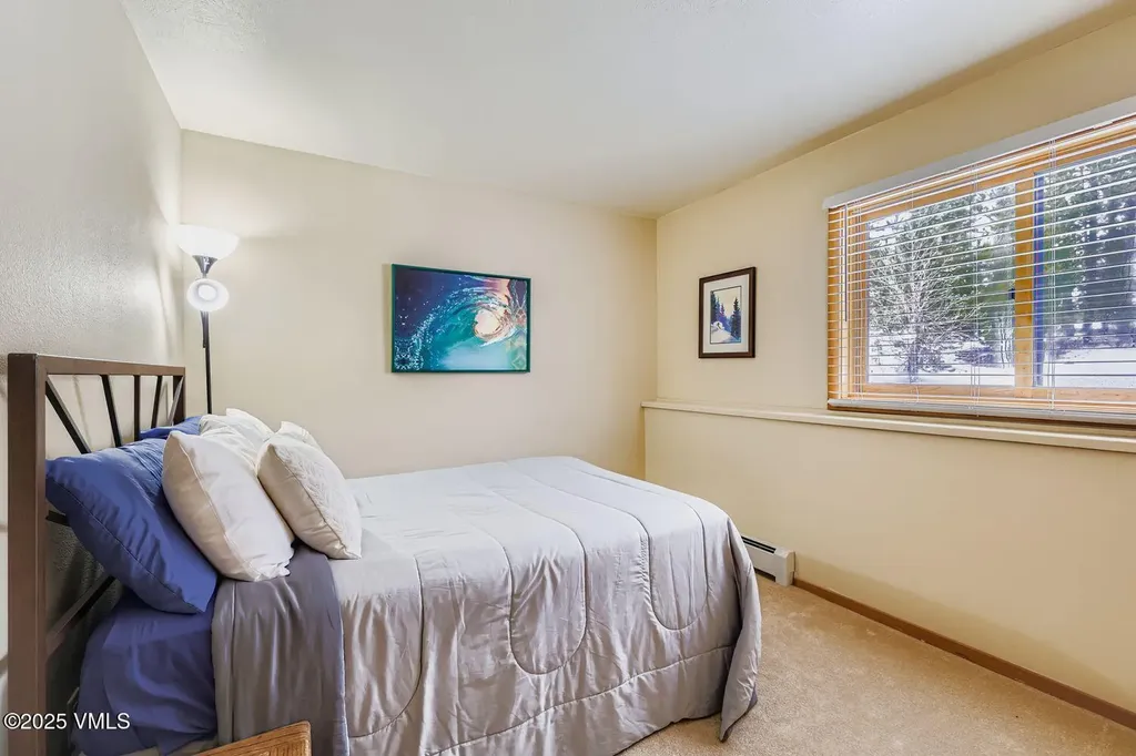 91300 Ryan Gulch Road Silverthorne CO 80498
