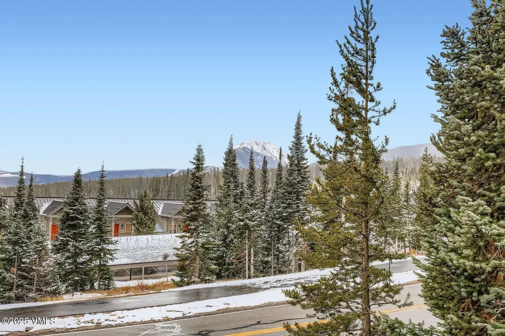 91300 Ryan Gulch Road Silverthorne CO 80498
