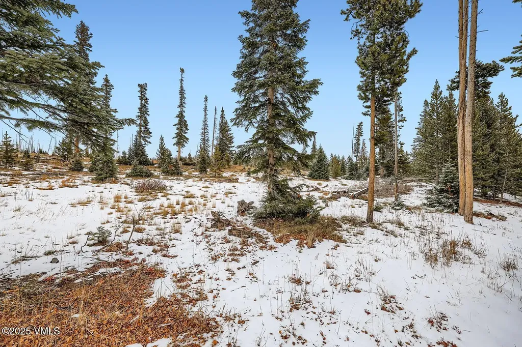 91300 Ryan Gulch Road Silverthorne CO 80498