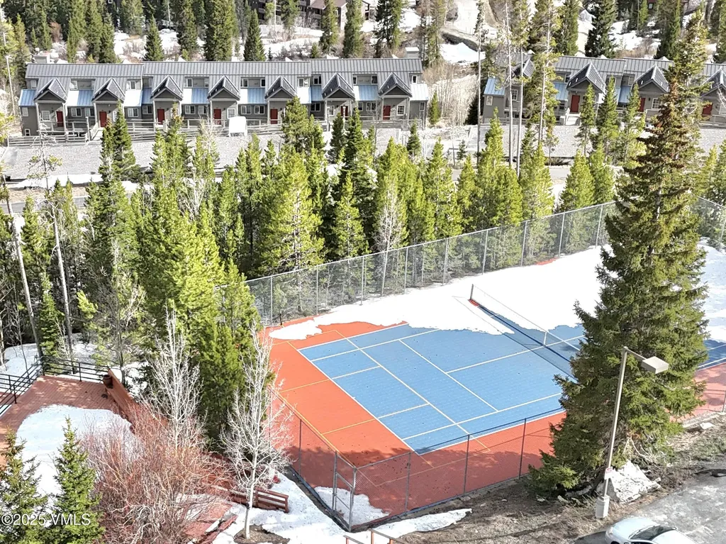 91300 Ryan Gulch Road Silverthorne CO 80498