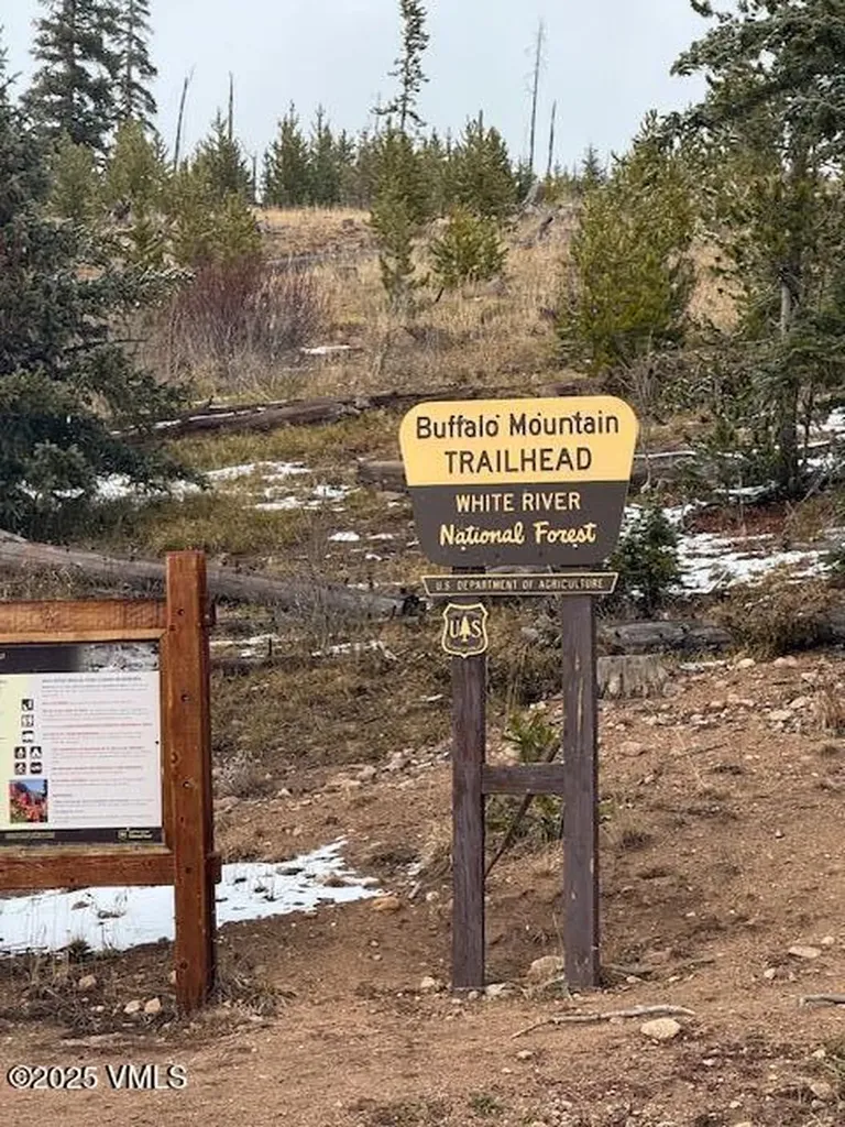91300 Ryan Gulch Road Silverthorne CO 80498