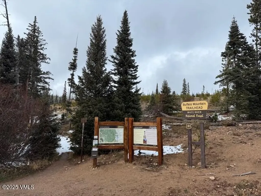 91300 Ryan Gulch Road Silverthorne CO 80498
