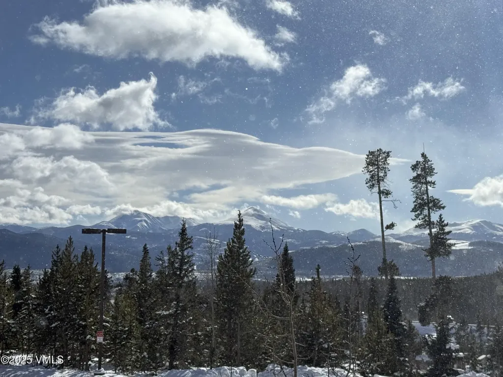 91300 Ryan Gulch Road Silverthorne CO 80498