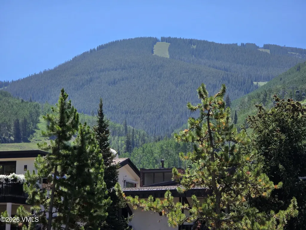 120 Willow Bridge Vail CO 81657
