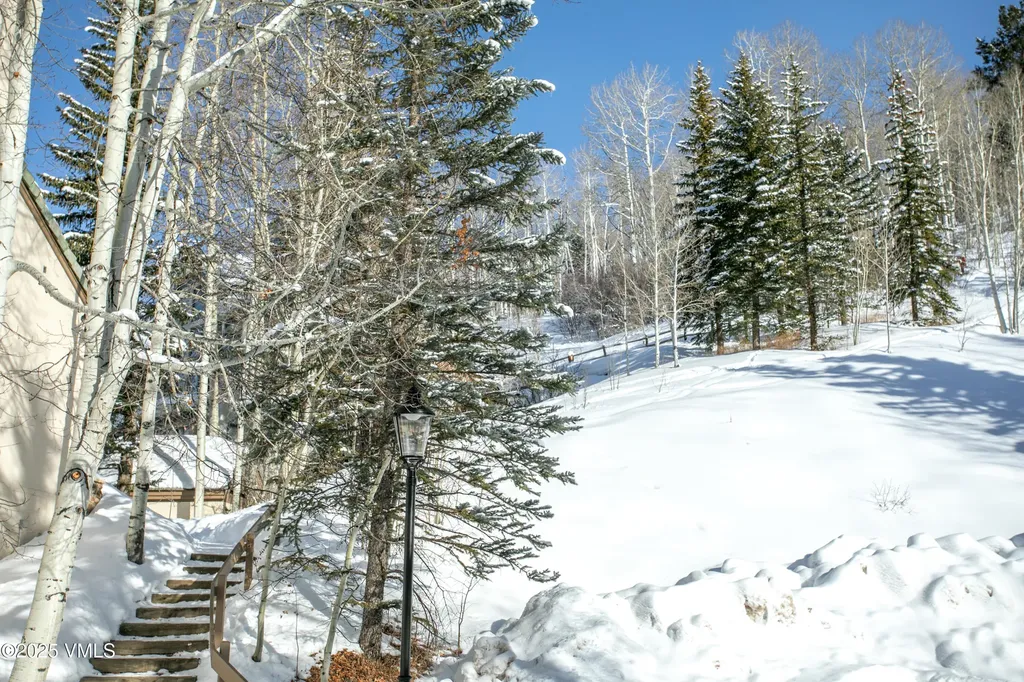 17 Meadow Court Beaver Creek CO 81620