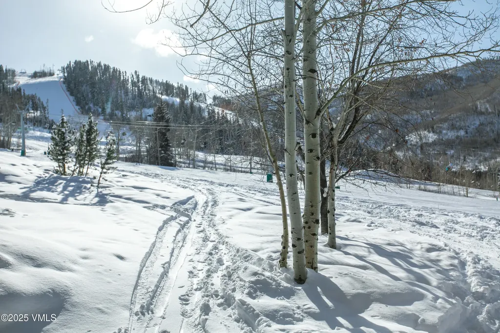 17 Meadow Court Beaver Creek CO 81620