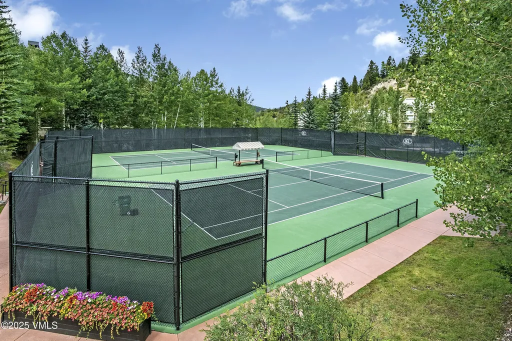 17 Meadow Court Beaver Creek CO 81620