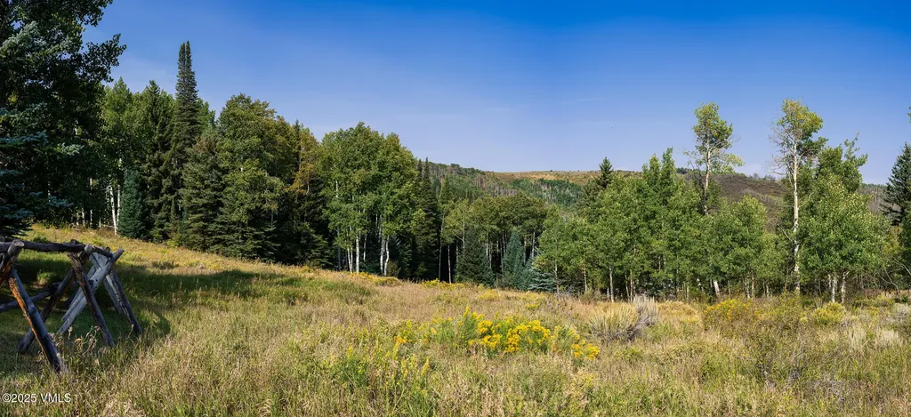 284 Settlers Loop Edwards CO 81632
