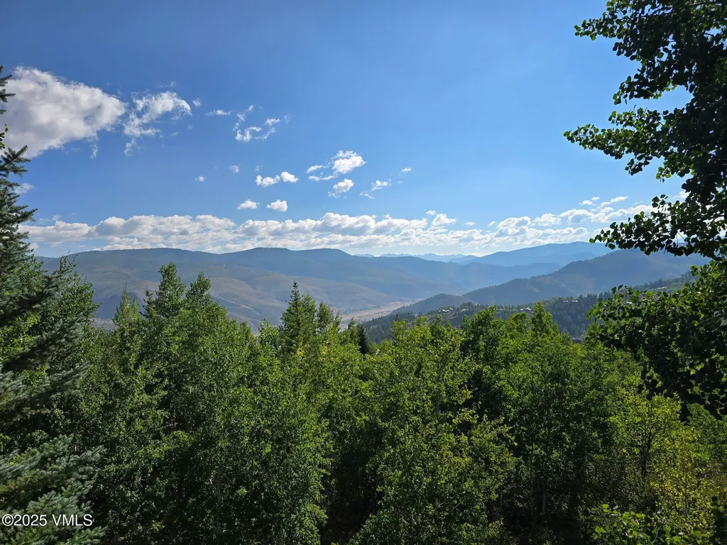 50 Horizon Pass Beaver Creek CO 81620