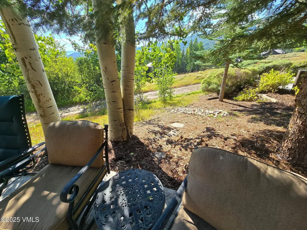 50 Horizon Pass Beaver Creek CO 81620