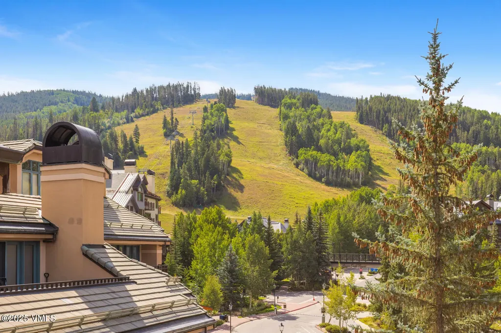 26 Avondale Lane Beaver Creek CO 81620