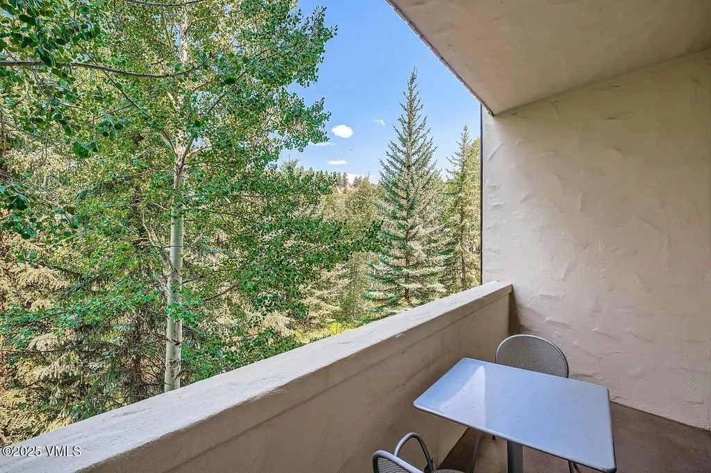 31 Avondale Lane Beaver Creek CO 81620