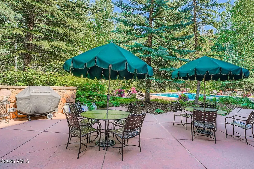 31 Avondale Lane Beaver Creek CO 81620