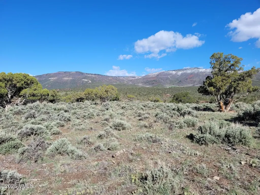 00650 Pinon Crest Way Mccoy CO 80463