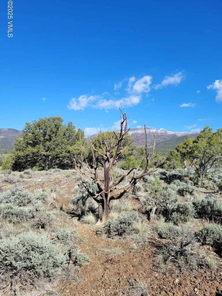 00755 Pinon Crest Way Mccoy CO 80463