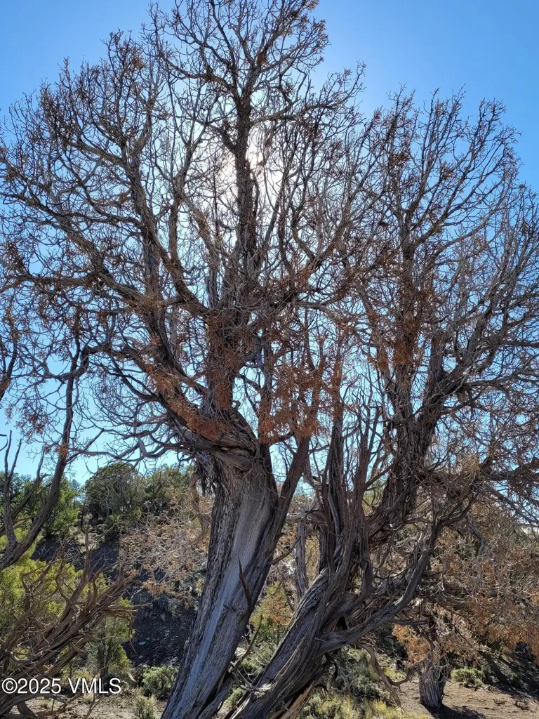 00755 Pinon Crest Way Mccoy CO 80463