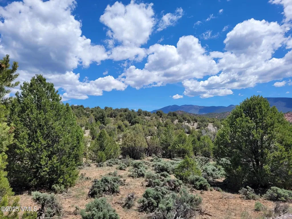 00755 Pinon Crest Way Mccoy CO 80463