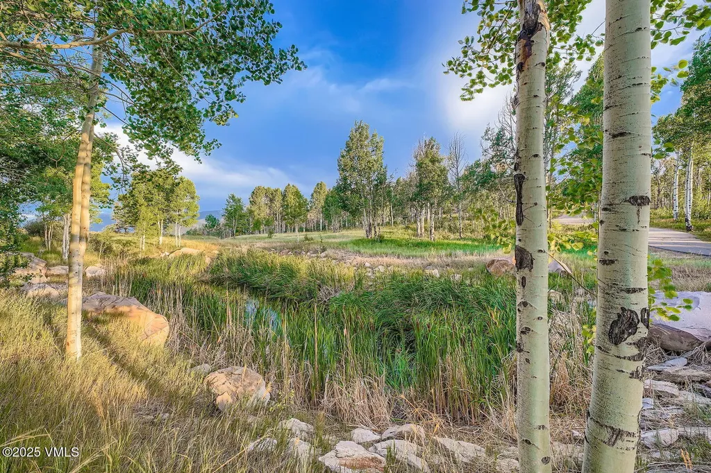 909 Ute Forest Lane Edwards CO 81632