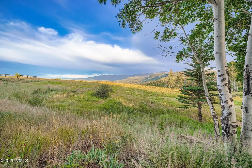909 Ute Forest Lane Edwards CO 81632