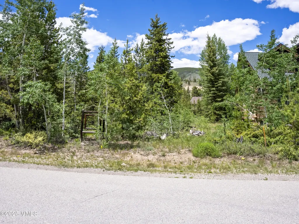 281 Elk Circle Dillon CO 80435