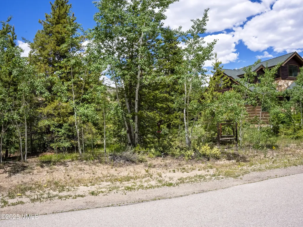 281 Elk Circle Dillon CO 80435