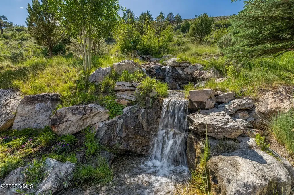 100 Timber Springs Drive Edwards CO 81632