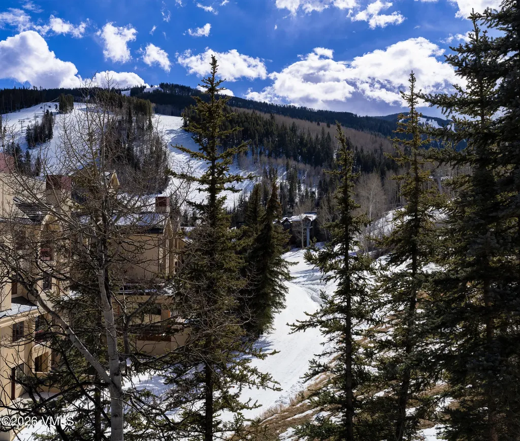 46 Red Spruce Lane Beaver Creek CO 81620