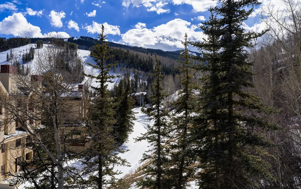 46 Red Spruce Lane Beaver Creek CO 81620