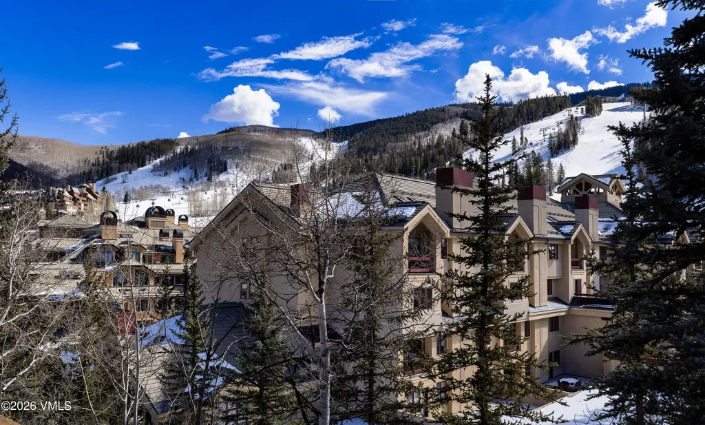 46 Red Spruce Lane Beaver Creek CO 81620