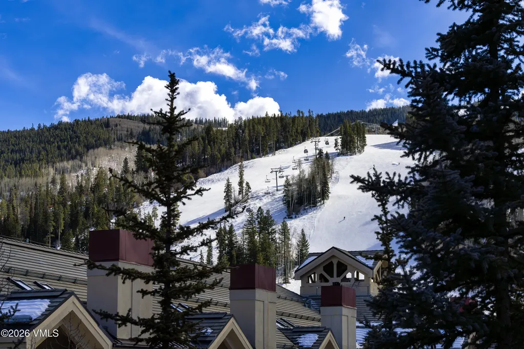 46 Red Spruce Lane Beaver Creek CO 81620