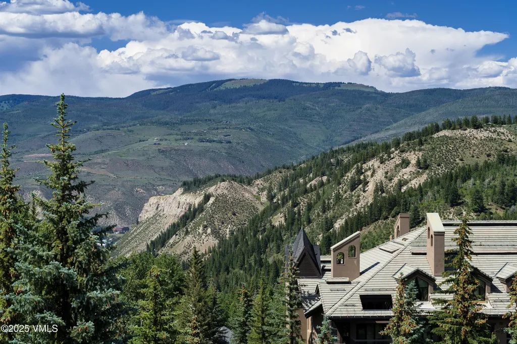 17 Chateau Lane Beaver Creek CO 81620