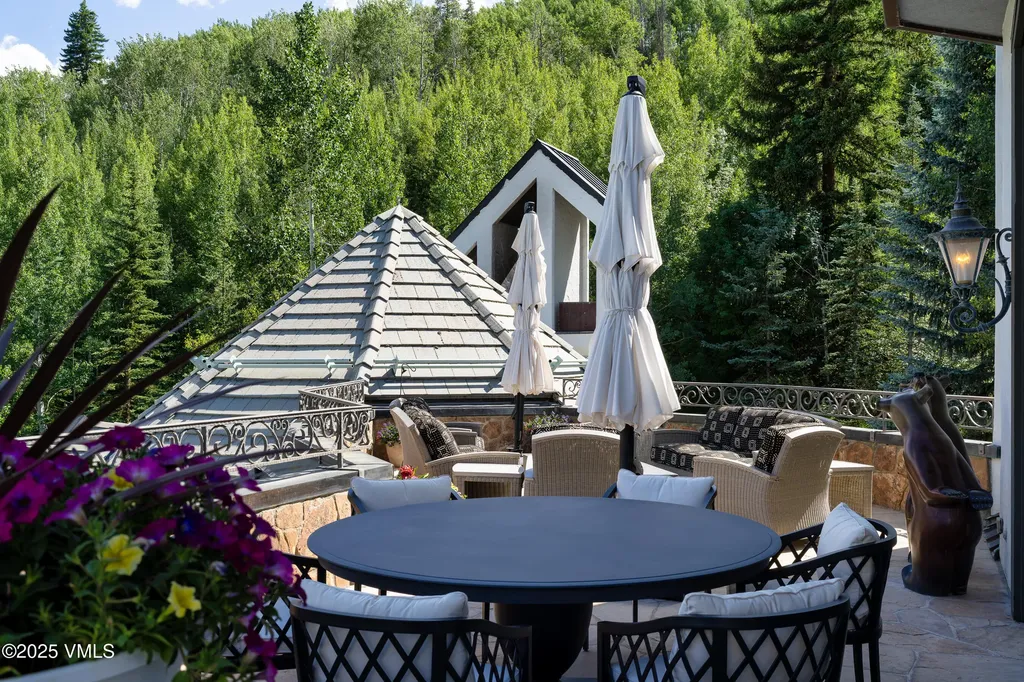 17 Chateau Lane Beaver Creek CO 81620