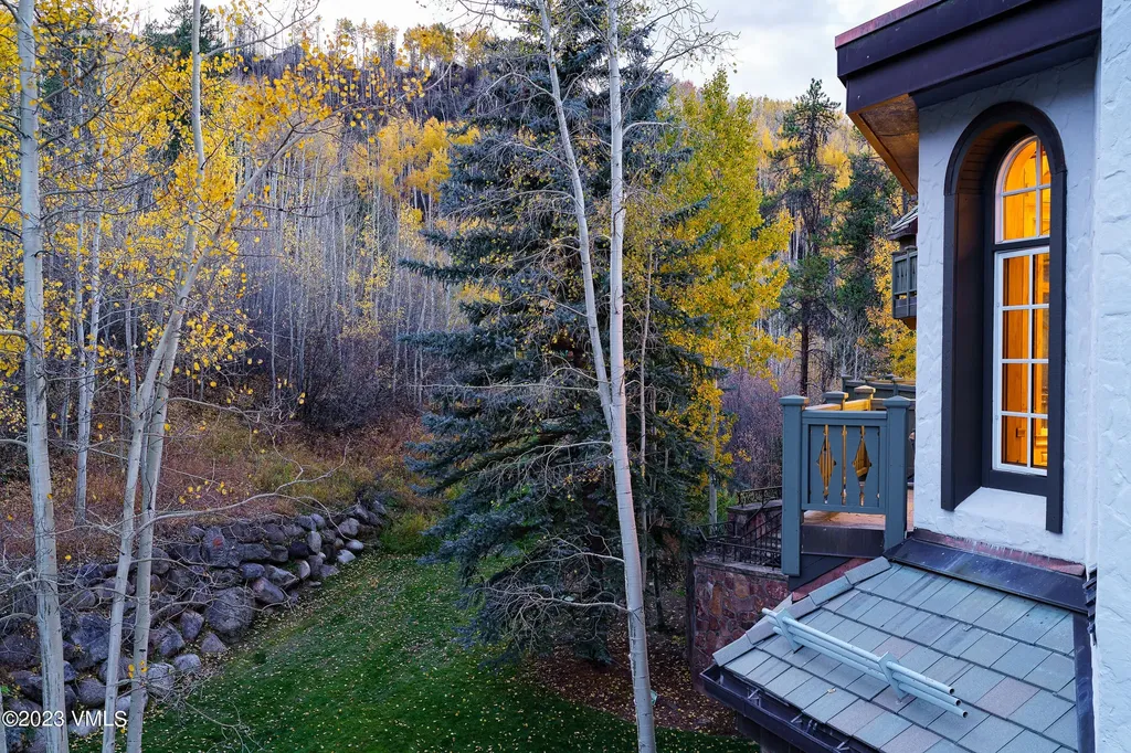 17 Chateau Lane Beaver Creek CO 81620
