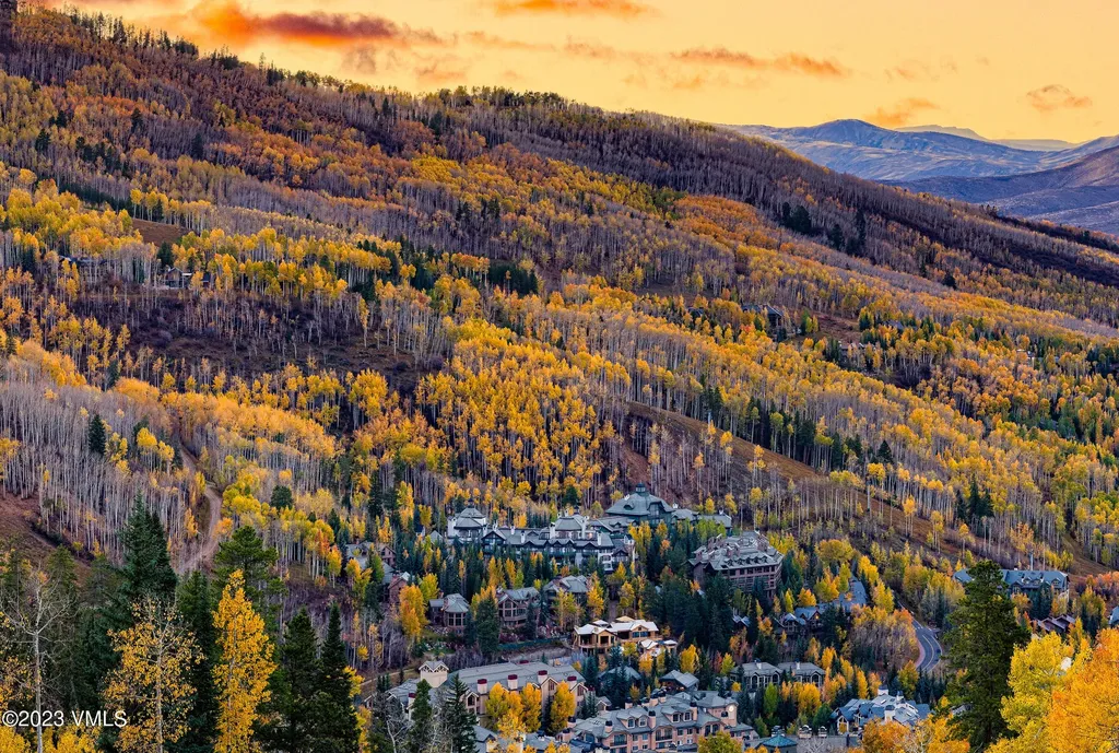 17 Chateau Lane Beaver Creek CO 81620