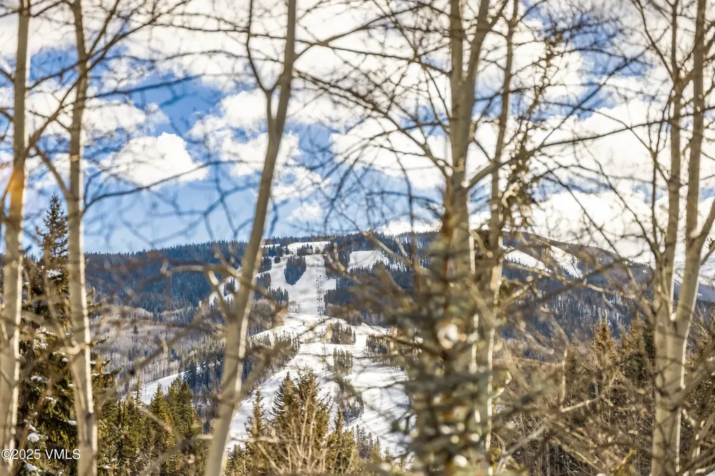 179 S Fairway Drive Beaver Creek CO 81620