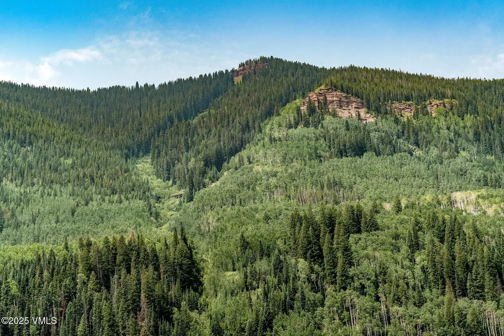 4545 Bighorn Road Vail CO 81657