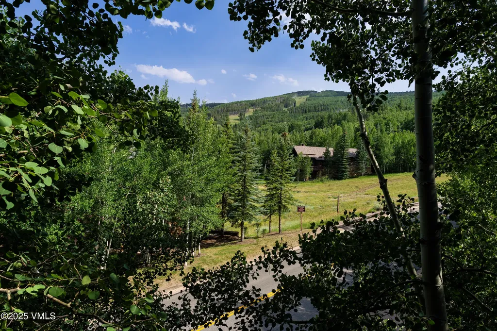 1087 Bachelor Ridge Beaver Creek CO 81620