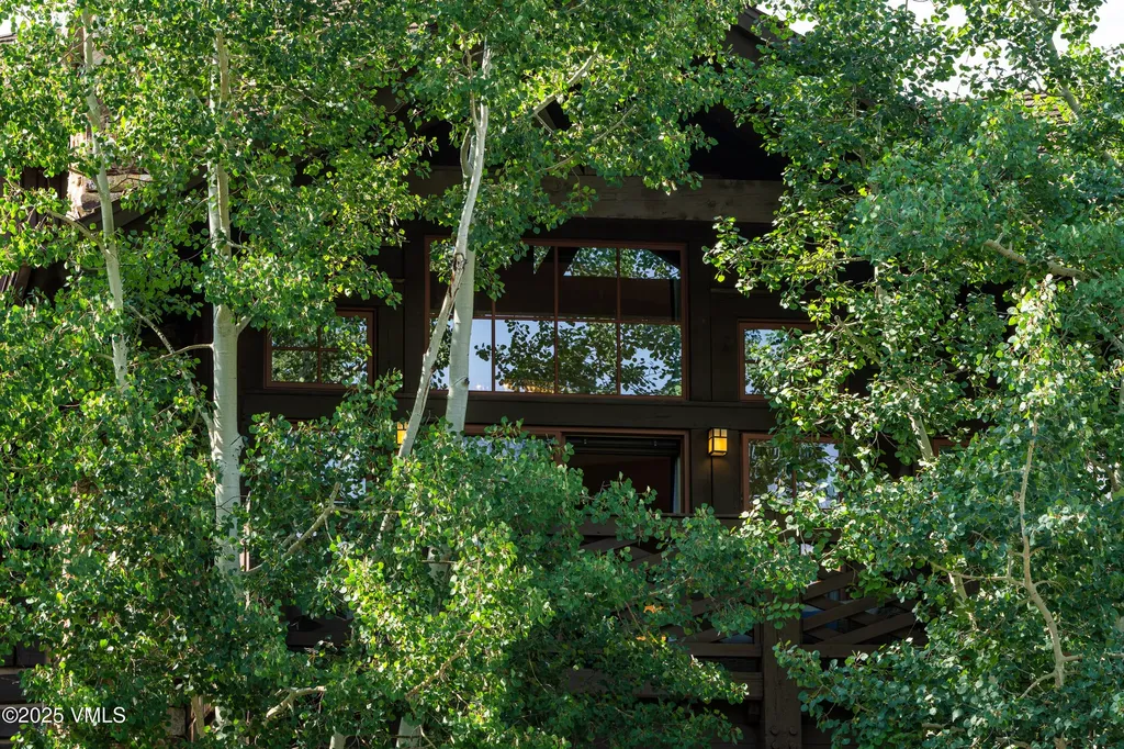 1087 Bachelor Ridge Beaver Creek CO 81620