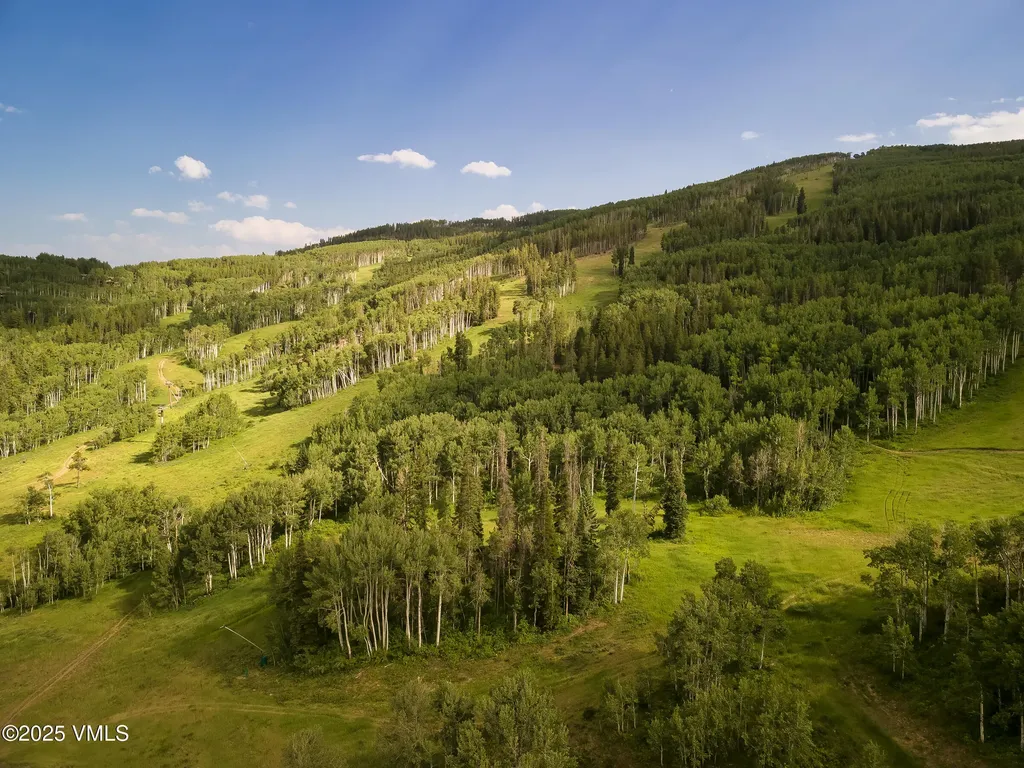 1087 Bachelor Ridge Beaver Creek CO 81620