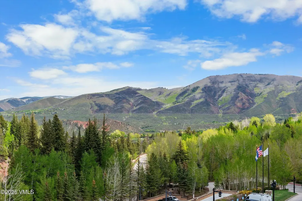 39 Boomerang Road Aspen CO 81611