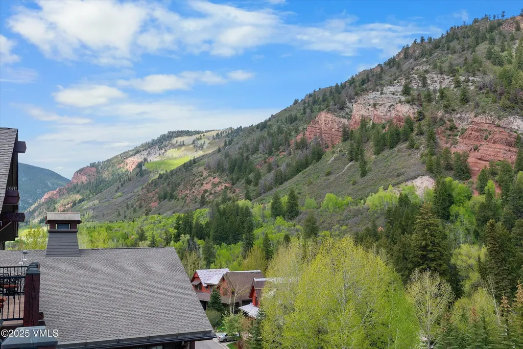 39 Boomerang Road Aspen CO 81611